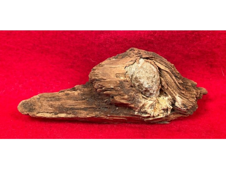 Bullet In Wood
