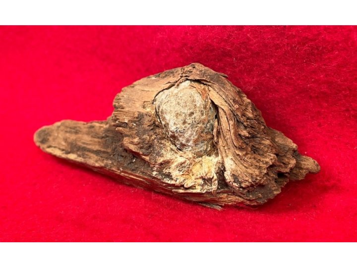 Bullet In Wood