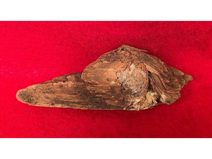Bullet In Wood