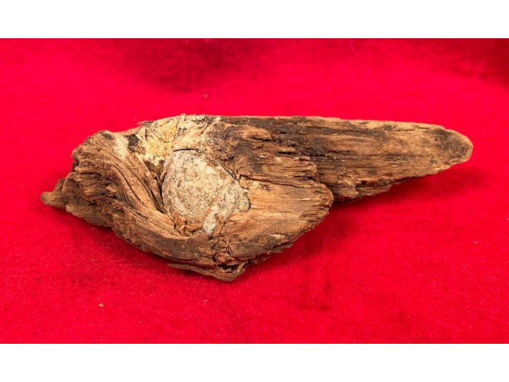 Bullet In Wood