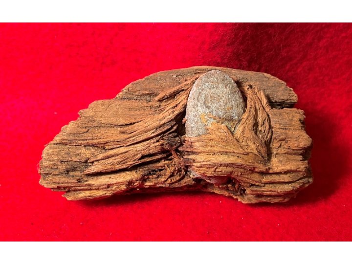 Bullet In Wood