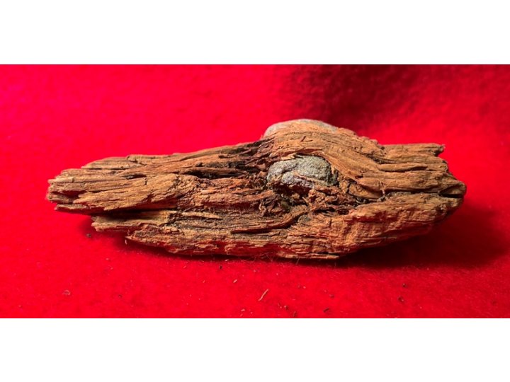 Bullet In Wood