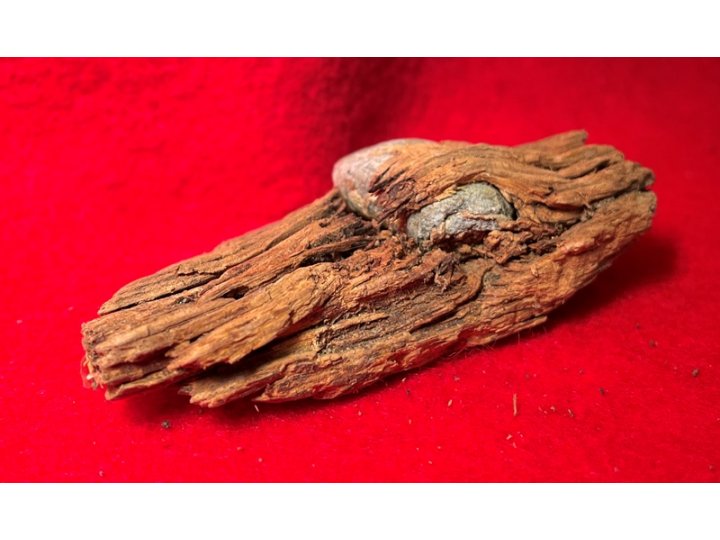 Bullet In Wood