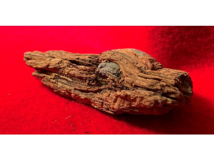Bullet In Wood