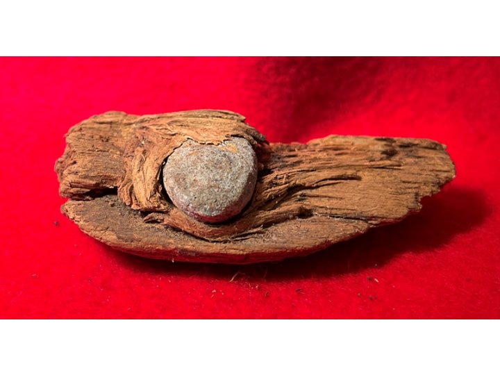 Bullet In Wood