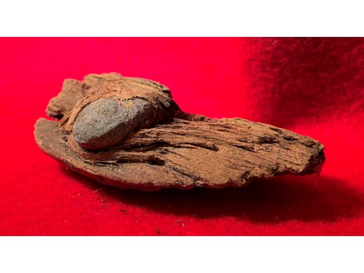 Bullet In Wood