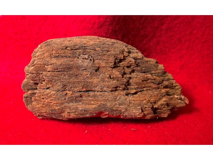 Bullet In Wood