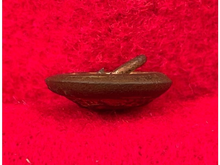 North Carolina State Seal Button - Rare Unusual 15.5 mm Size