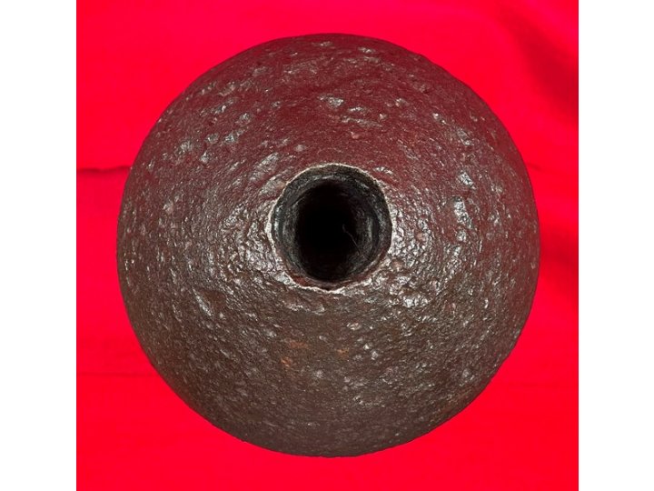 Federal 7-Inch Dyer Shell - Huge Shell in Two Pieces