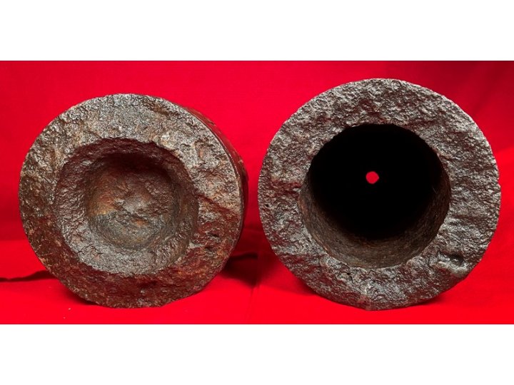 Federal 7-Inch Dyer Shell - Huge Shell in Two Pieces