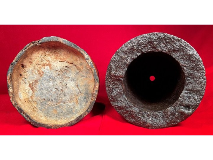 Federal 7-Inch Dyer Shell - Huge Shell in Two Pieces