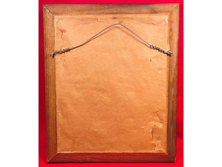 Civil War Framed Virginia Battlefield Civil War Relic Display