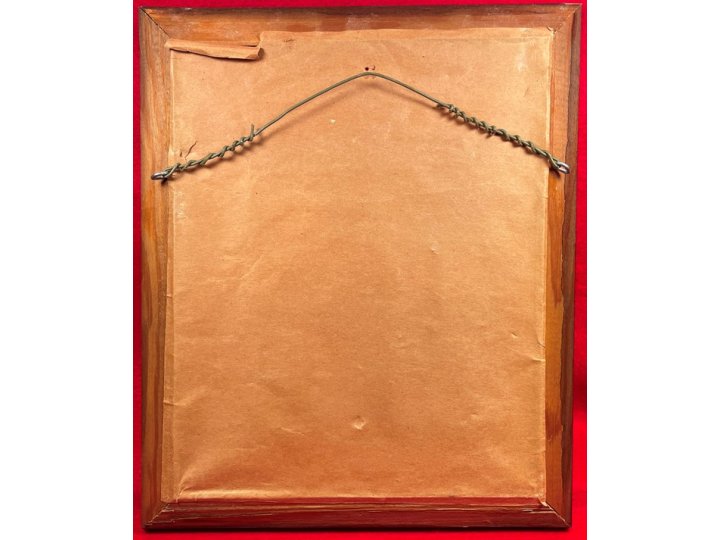 Civil War Framed Virginia Battlefield Civil War Relic Display