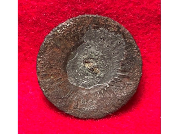 North Carolina "Sunburst" Coat Button - Silvered