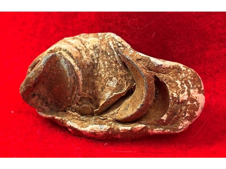 Collided Type III Williams Cleaner Bullets