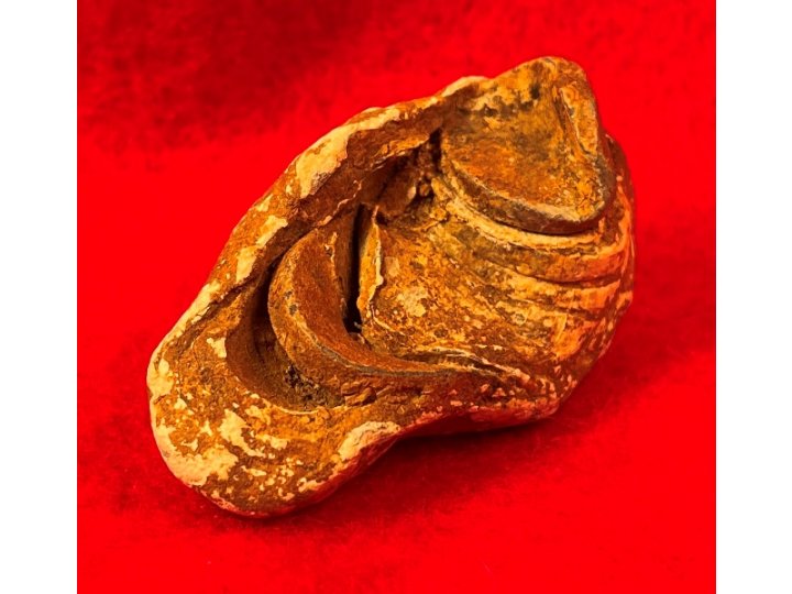 Collided Type III Williams Cleaner Bullets