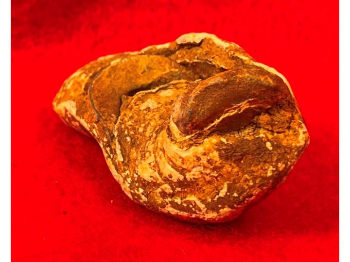 Collided Type III Williams Cleaner Bullets