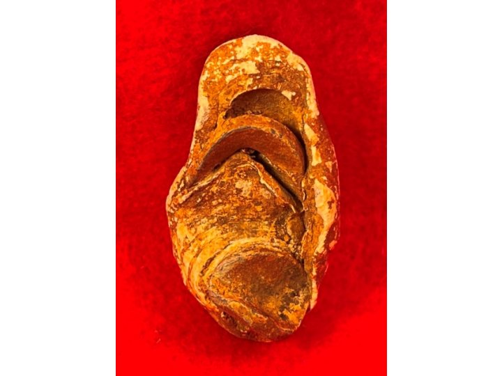 Collided Type III Williams Cleaner Bullets