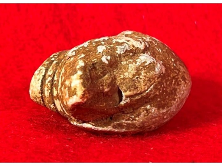 Collided Three-Ring Bullets