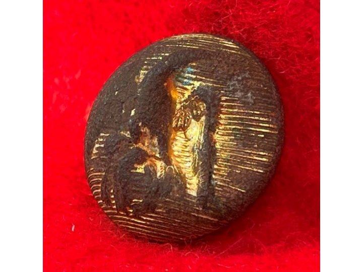 Confederate Staff Army Officer Coat Button - Rare Local