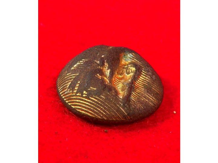 Confederate Staff Army Officer Coat Button - Rare Local