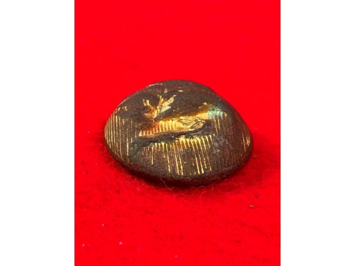 Confederate Staff Army Officer Coat Button - Rare Local