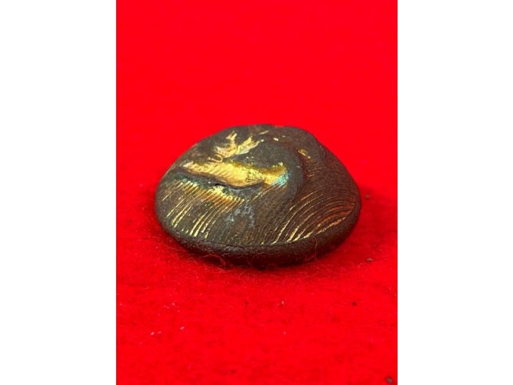 Confederate Staff Army Officer Coat Button - Rare Local