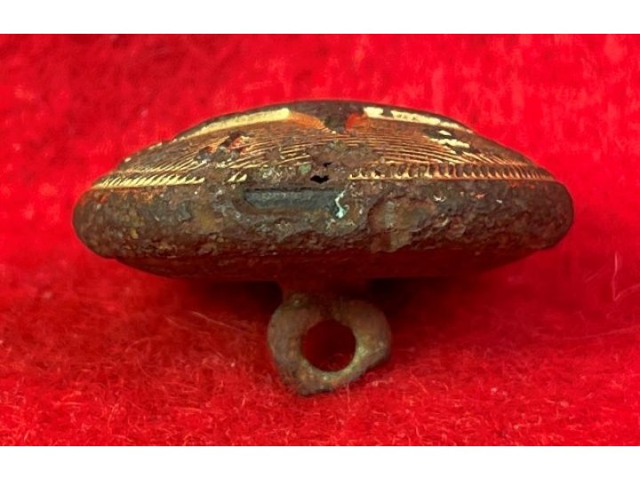 Texas Militia Coat Button