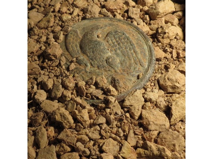 Eagle Plate in Georgia Soil - Excellent Display
