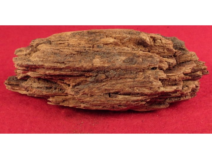 Hidden and Unknown Bullet In Wood