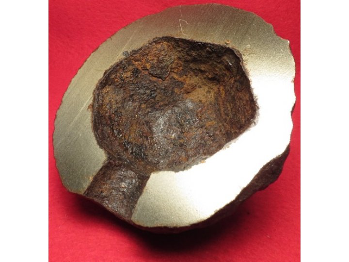 12 Pounder Polygonal Cavity Shell Cross Section