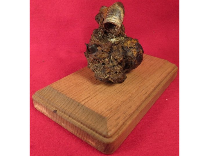 Relic Cluster Gauley Bridge, WV