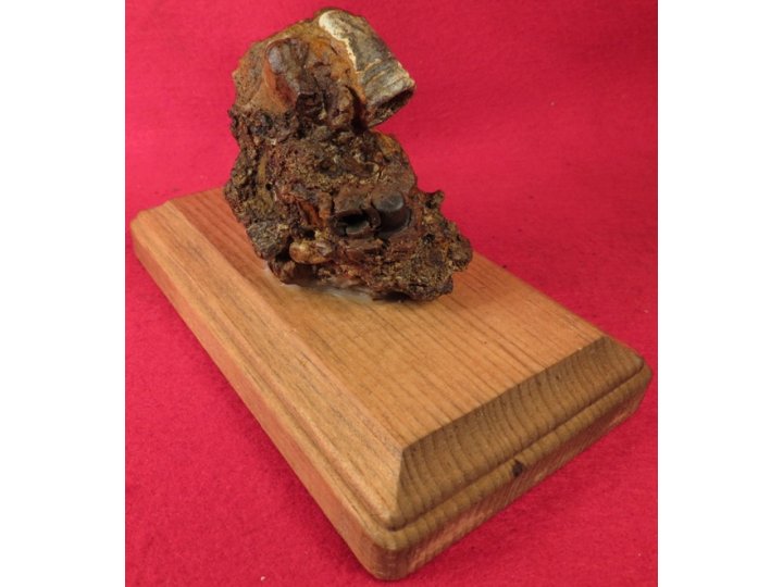 Relic Cluster Gauley Bridge, WV