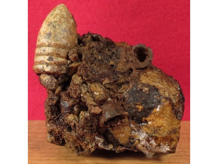 Relic Cluster Gauley Bridge, WV