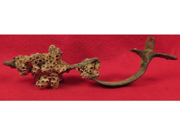 Enfield Rifle Musket Trigger Guard with Corals 