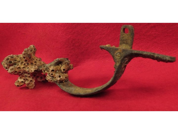 Enfield Rifle Musket Trigger Guard with Corals 