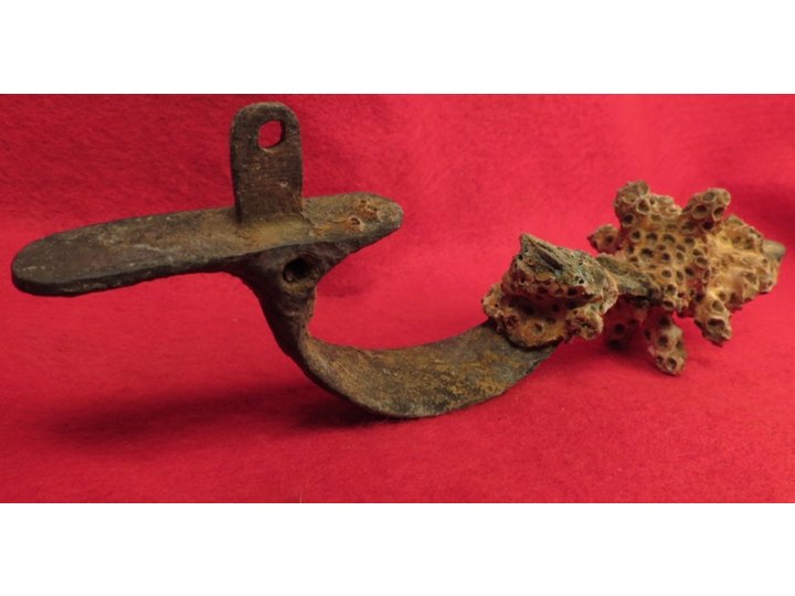 Enfield Rifle Musket Trigger Guard with Corals 
