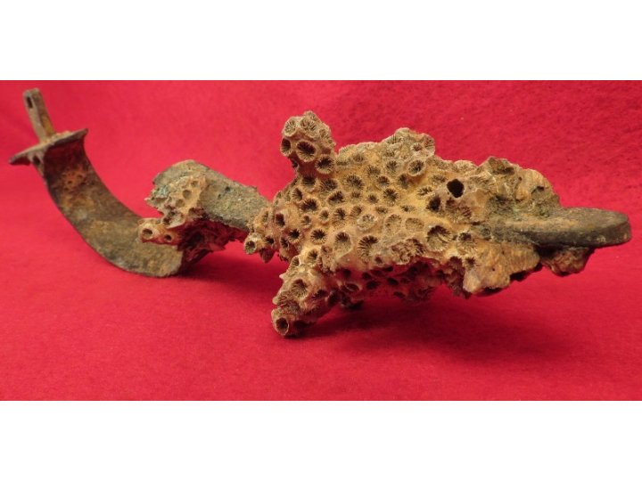 Enfield Rifle Musket Trigger Guard with Corals 