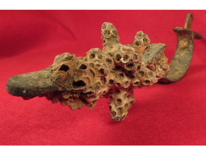 Enfield Rifle Musket Trigger Guard with Corals 