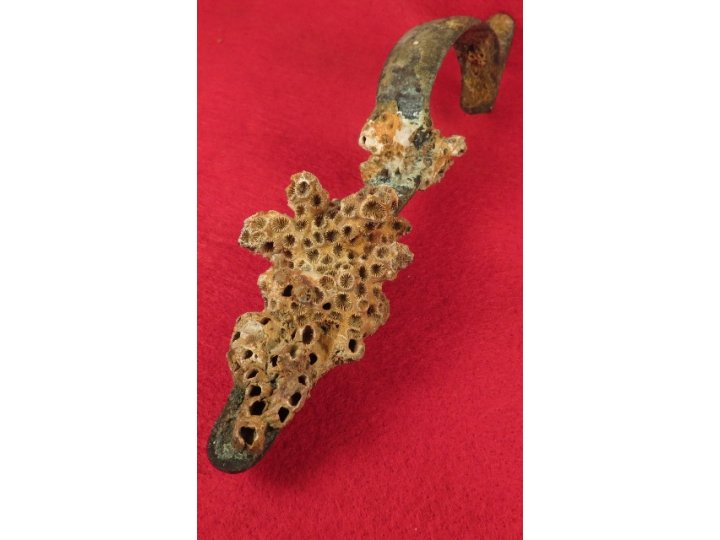 Enfield Rifle Musket Trigger Guard with Corals 