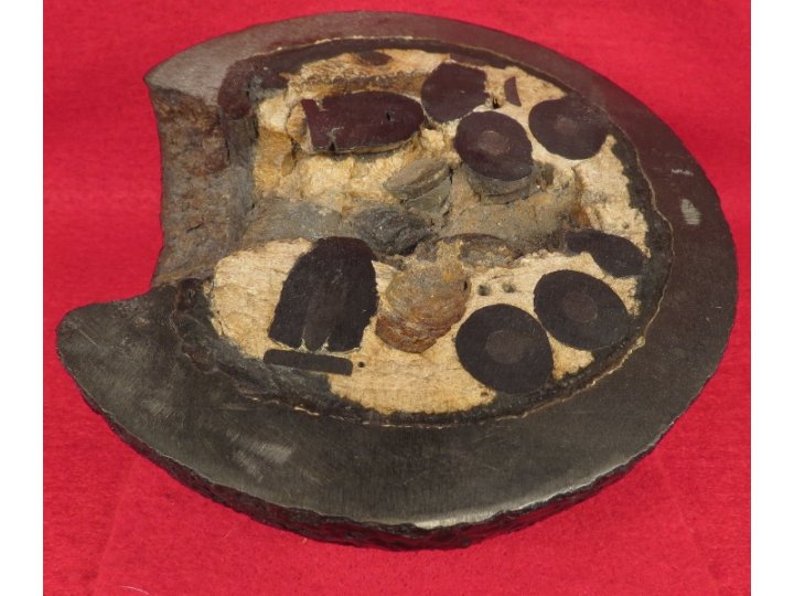12 Pounder Cannonball Case-Shot Half for use w/ Rare Wright Time Fuze