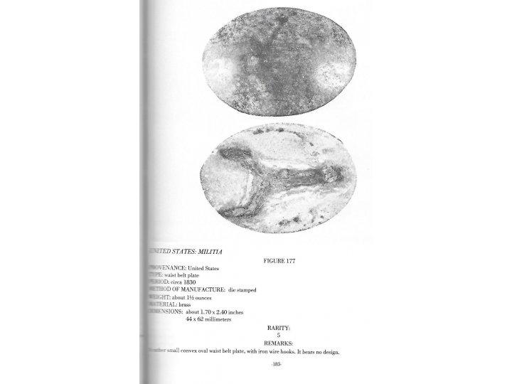 Plates and Buckles of the American Military 1795-1874