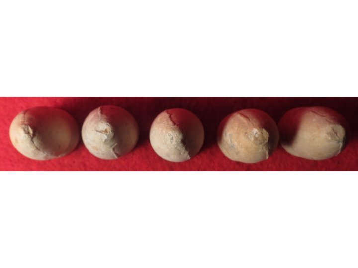 Five .58 Caliber Confederate Gardner Bullets