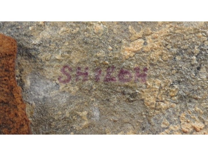 US Waist Belt Buckle for Dragoon (Rifleman) Enlisted