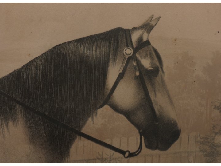 "Genl. Lee On Traveler"