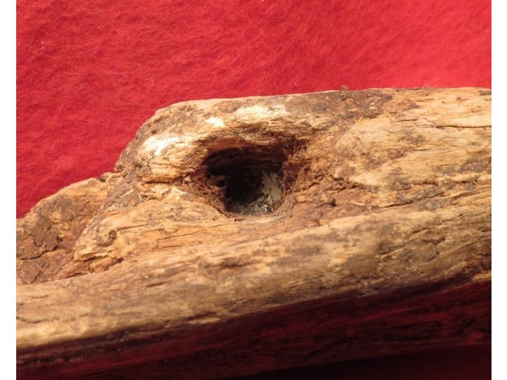 Bullet in Wood