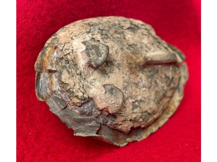 US Waist Belt Buckle - Arrow Type Hooks