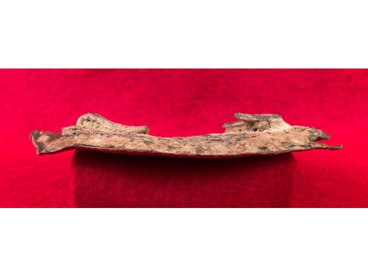 US Waist Belt Buckle - Arrow Type Hooks