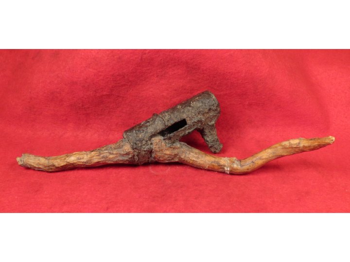 Bayonet Socket Recovered with Tree Root