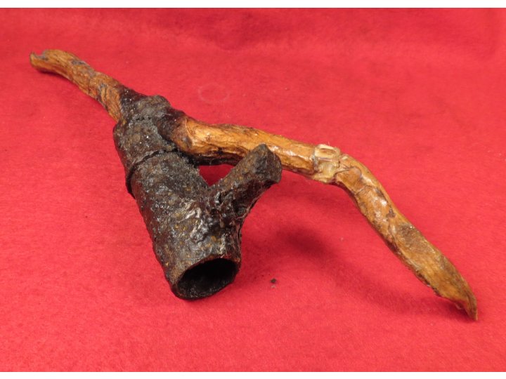 Bayonet Socket Recovered with Tree Root